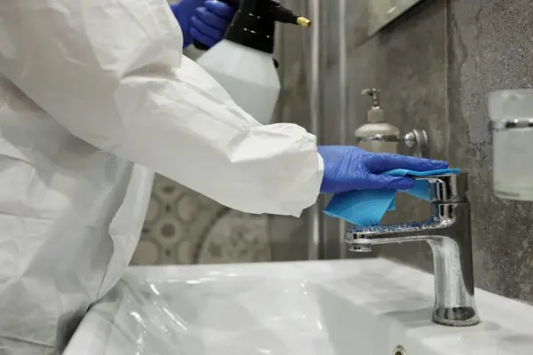 Professional cleaning service