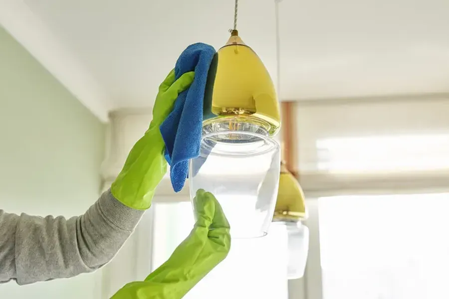 What To Expect During A Professional Deep Cleaning Service in Ozone Park, NY
